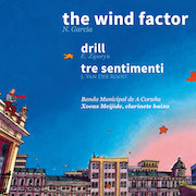 The wind factor